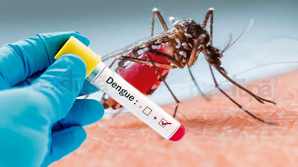 CASCALHO RICO - Comunidade deve agir em parceria no combate à Dengue