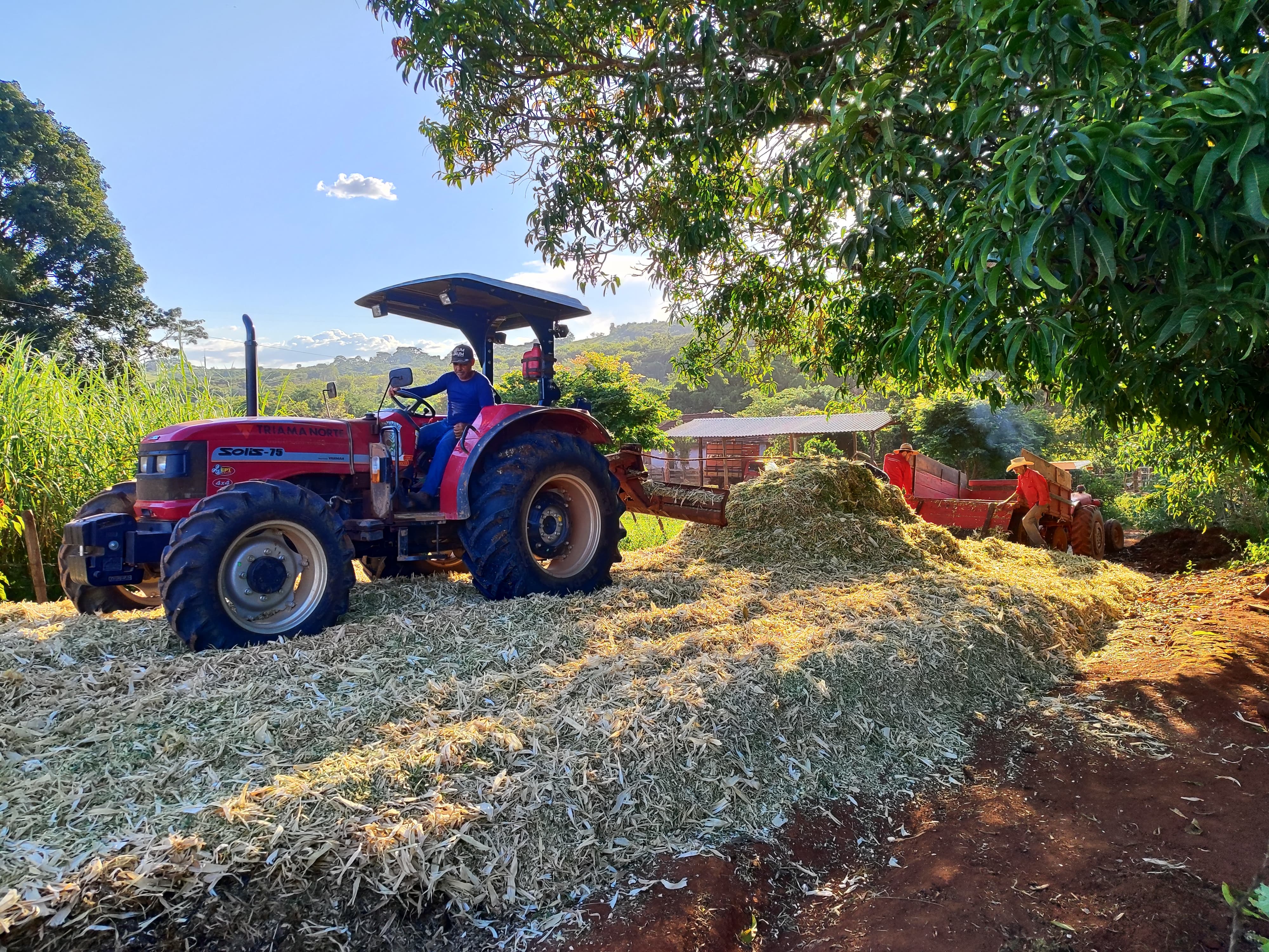 Prefeitura atua no apoio à produção de silagem