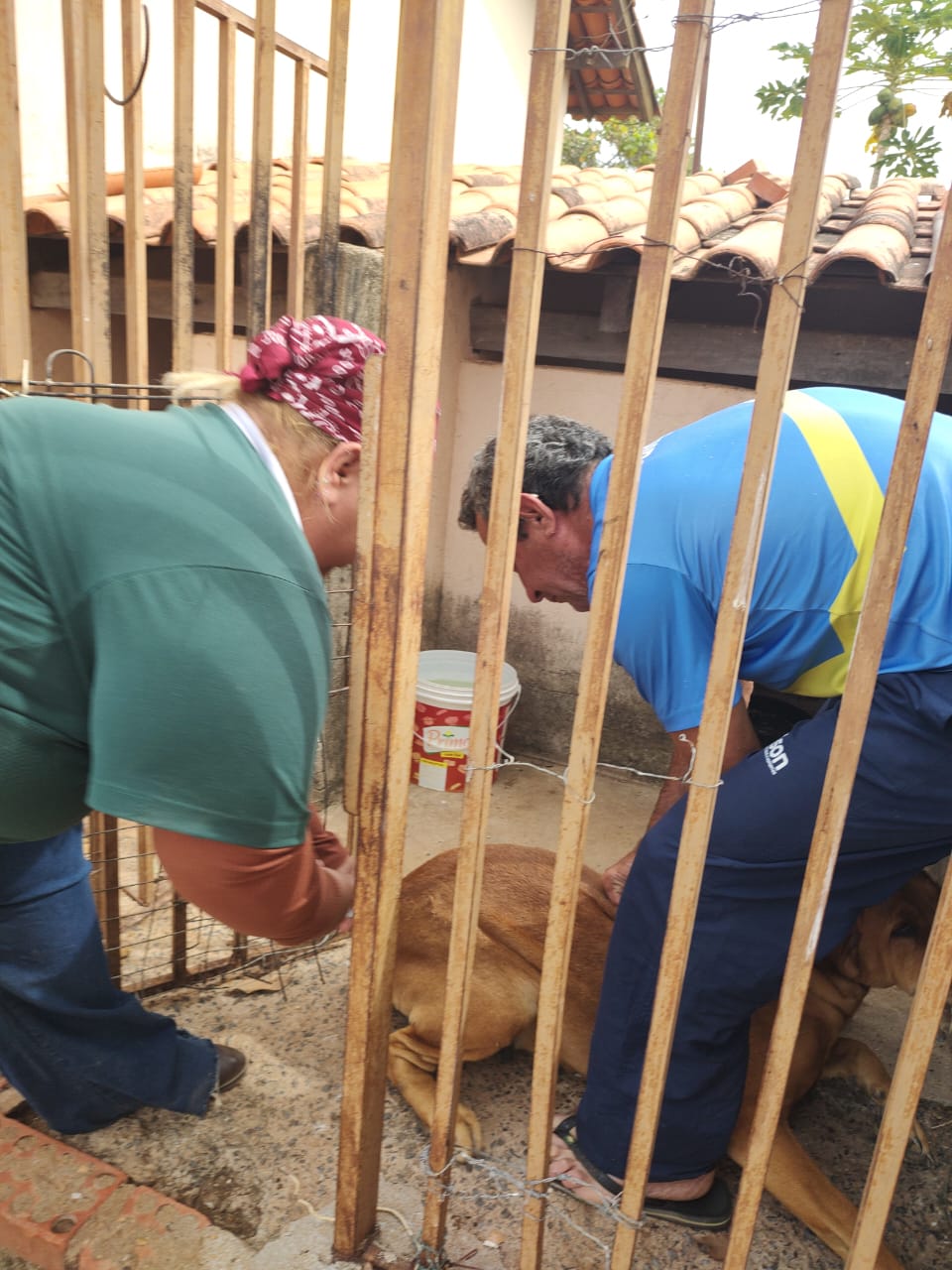 Região do Varjão recebe equipe da vacinação de cães e gatos