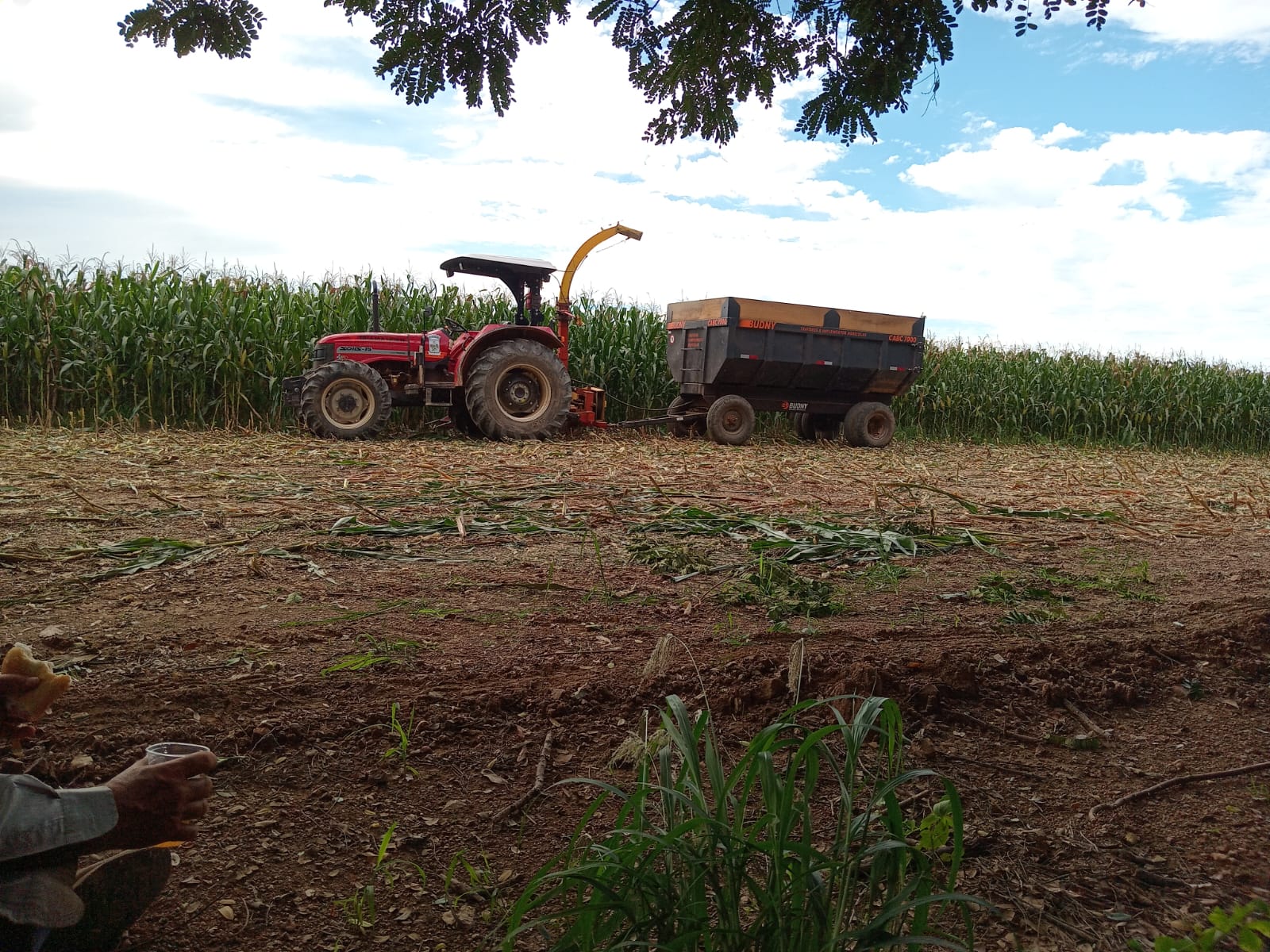 Apoio ao produtor rural no Capim Branco e Varjão